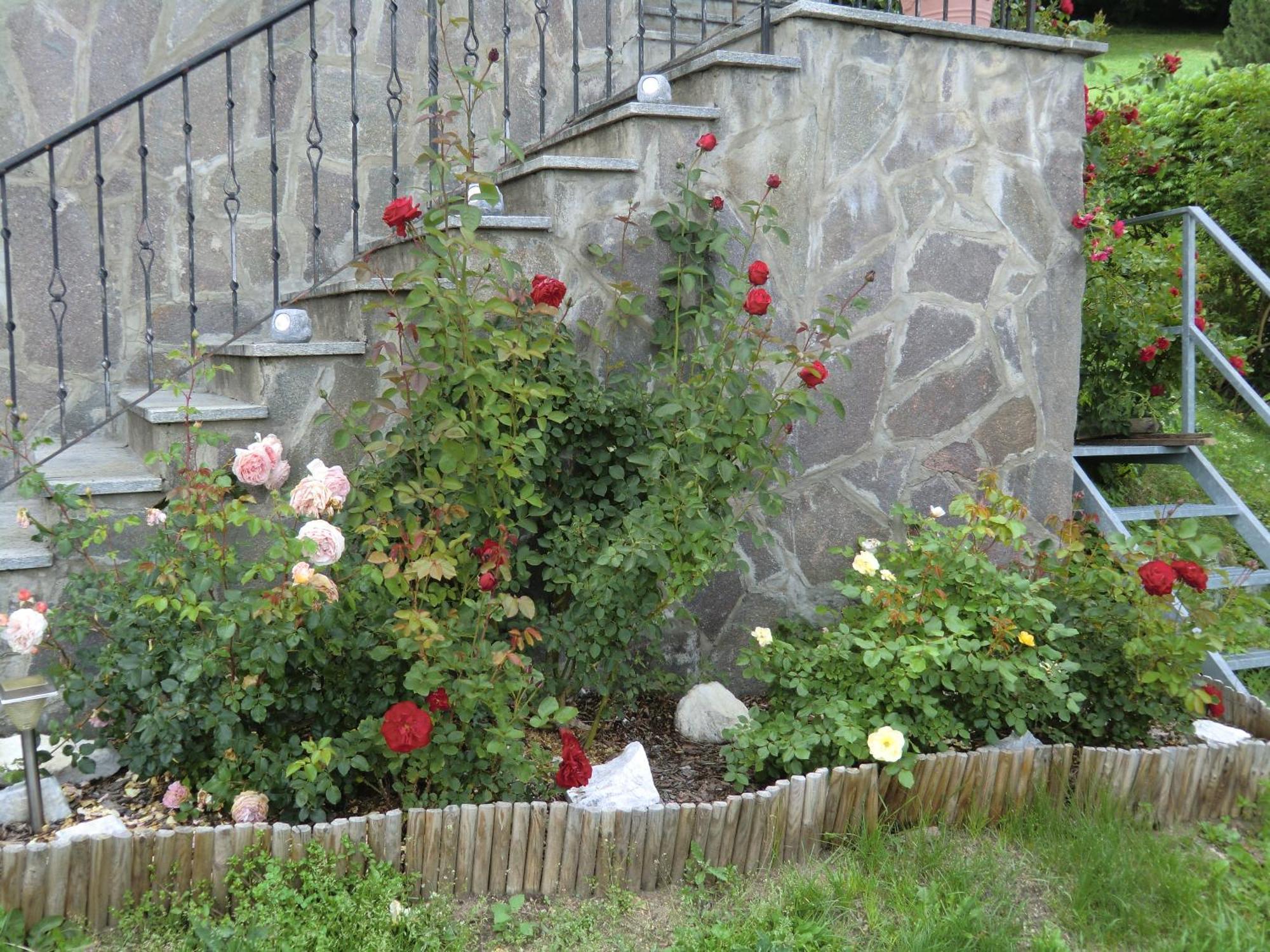 Alpenblick Bed & Breakfast Vipiteno Luaran gambar
