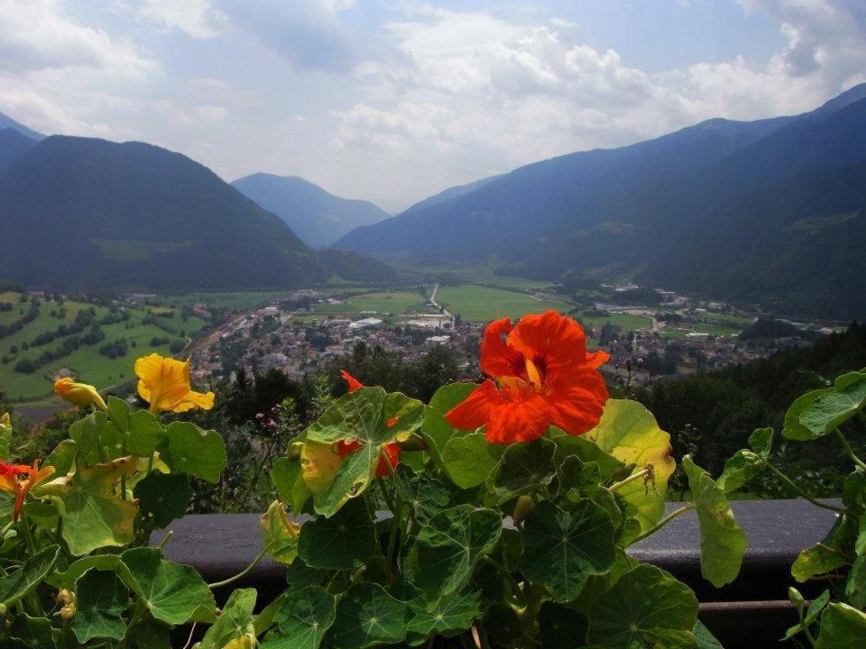 Alpenblick Bed & Breakfast Vipiteno Luaran gambar